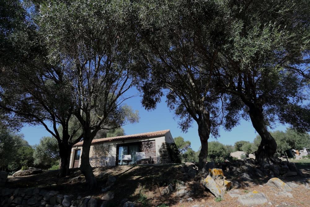 Liscia Country Relais Vendégház Sant'Antonio di Gallura Kültér fotó