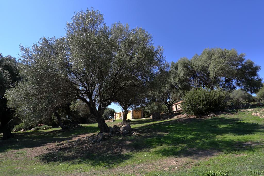 Liscia Country Relais Vendégház Sant'Antonio di Gallura Kültér fotó