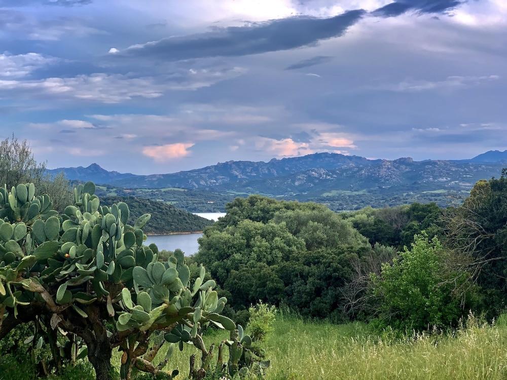 Liscia Country Relais Vendégház Sant'Antonio di Gallura Kültér fotó