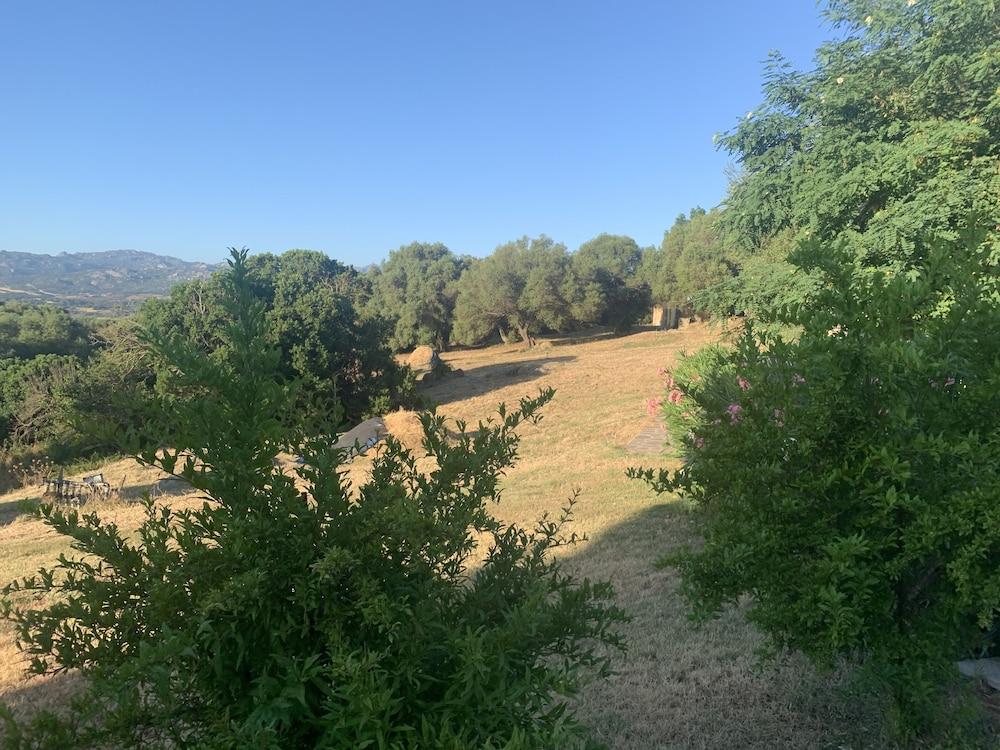 Liscia Country Relais Vendégház Sant'Antonio di Gallura Kültér fotó