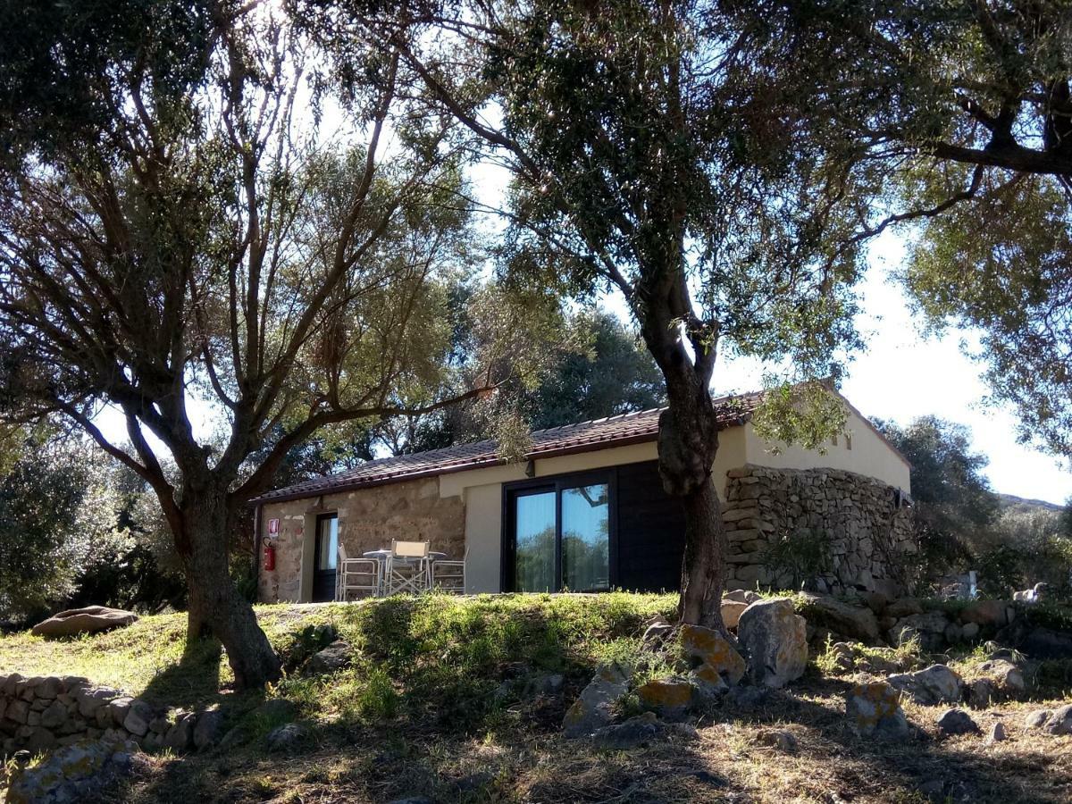 Liscia Country Relais Vendégház Sant'Antonio di Gallura Kültér fotó